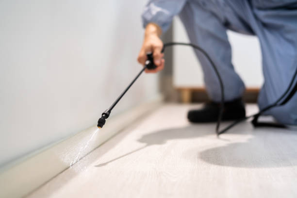 Licensed Cockroach Control service in Hallettsville, TX - Nex Pest Control