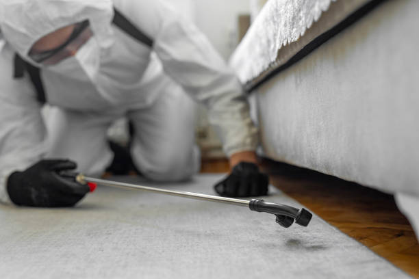 Professional Cockroach Control technician working in Hallettsville, TX