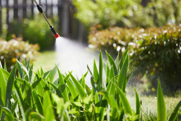 24/7 Emergency Cockroach Control experts in Hallettsville, TX