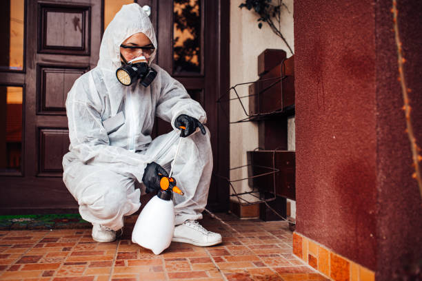Reliable Cockroach Control contractor in Hallettsville, TX by Nex Pest Control